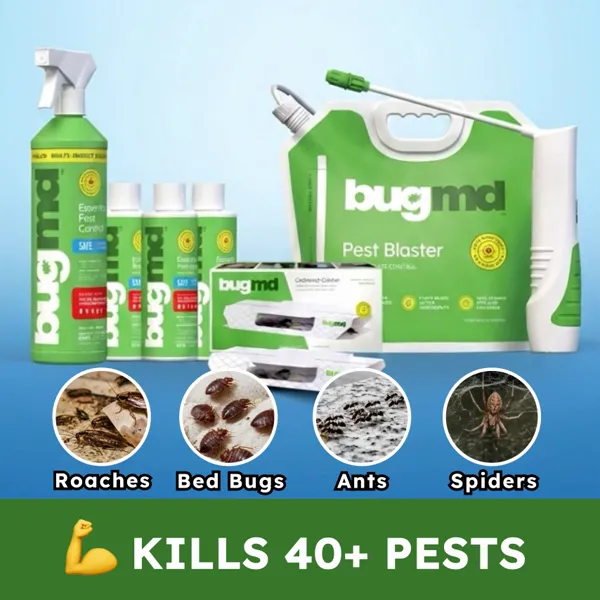 BugMD spray bottle shown with the household pests it kills on contact