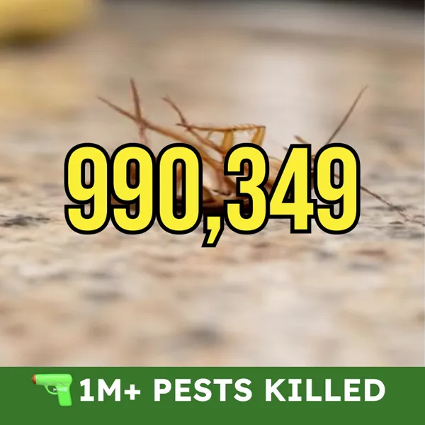 BugMD's kill counter passing 1,000,000 pests eliminated