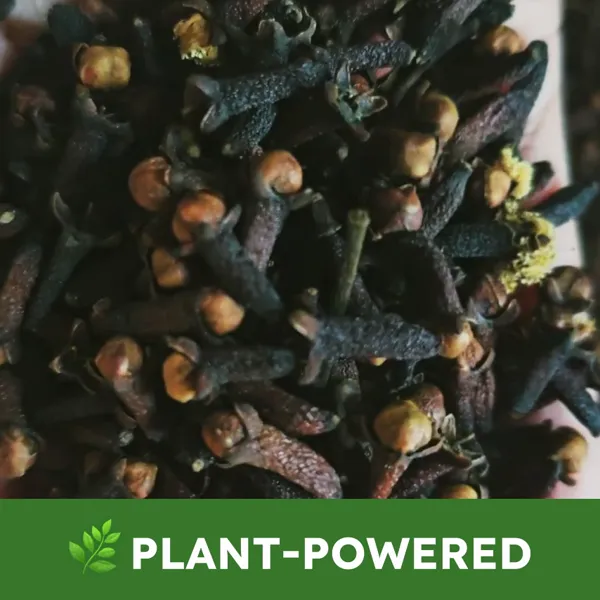 BugMD's plant-powered formula made with clove and cottonseed oils