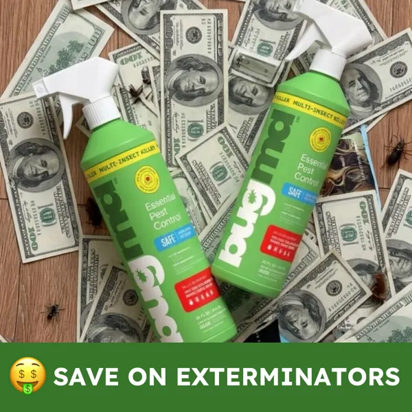 A homeowner comparing BugMD to the cost of hiring an exterminator