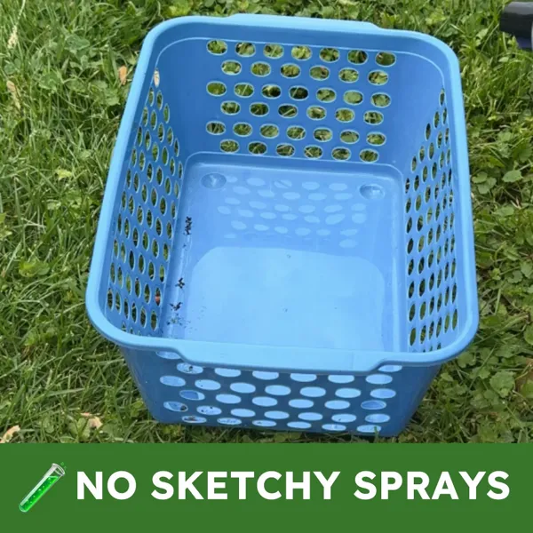 BugMD replacing a cabinet full of harsh chemical sprays
